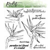 Picket Fence Studios - Clear Photopolymer Stamps - Bird of Paradise Flowers