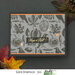 Picket Fence Studios - Clear Photopolymer Stamps - Autumn Harvest Collage