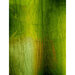 Picket Fence Studios - Fabulous Foiling Toner - Card Stock - Textures of Wood Greens and Yellows