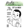 Picket Fence Studios - Clear Photopolymer Stamps - Baby Boy of All Seasons