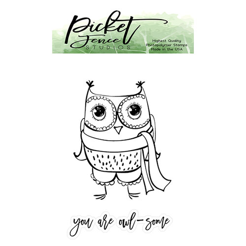 Picket Fence Studios - Clear Photopolymer Stamps - Sweet Owl