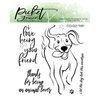 Picket Fence Studios - Clear Photopolymer Stamps - Lucy Puppy