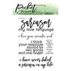 Picket Fence Studios - Clear Photopolymer Stamps - Never Faked A Sarcasm