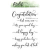 Picket Fence Studios - Clear Photopolymer Stamps - Fancy Congratulations Sentiments