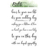 Picket Fence Studios - Clear Photopolymer Stamps - Fancy Life Events Sentiments