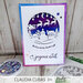 Picket Fence Studios - Clear Photopolymer Stamps - Swanky Sentiments