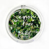 Picket Fence Studios - Sequin Mix - All About The Greens