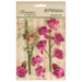 Petaloo - Botanica Collection - Floral Embellishments - Ephemera - Fuchsia