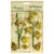 Petaloo - Botanica Collection - Floral Embellishments - Ephemera - Pistachio