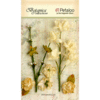 Petaloo - Botanica Collection - Floral Embellishments - Ephemera - Ivory