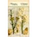 Petaloo - Botanica Collection - Floral Embellishments - Ephemera - Ivory