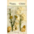 Petaloo - Botanica Collection - Floral Embellishments - Ephemera - Ivory