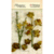 Petaloo - Botanica Collection - Floral Embellishments - Ephemera - Moss Green