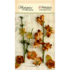 Petaloo - Botanica Collection - Floral Embellishments - Ephemera - Brown