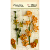 Petaloo - Botanica Collection - Floral Embellishments - Ephemera - Amber