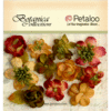 Petaloo - Botanica Collection - Floral Embellishments - Minis - Cranberry Amber and Green
