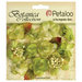 Petaloo - Botanica Collection - Floral Embellishments - Minis - Pistachio