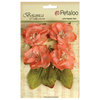 Petaloo - Botanica Collection - Floral Embellishments - Blooms - Coral