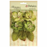 Petaloo - Botanica Collection - Floral Embellishments - Blooms - Pistachio