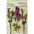 Petaloo - Botanica Collection - Floral Embellishments - Calla Lilies and Berries - Lavender and Purple