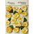 Petaloo - Botanica Collection - Floral Embellishments - Velvet Pansies - Amber