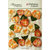 Petaloo - Botanica Collection - Floral Embellishments - Velvet Pansies - Apricot