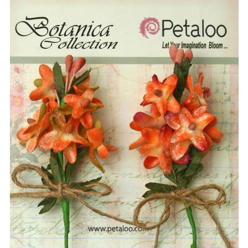 Petaloo - Botanica Collection - Floral Embellishments - Velvet Lilacs - Apricot