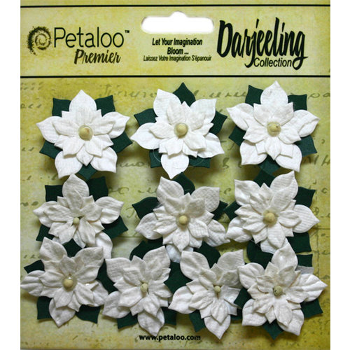 Petaloo - Botanica Collection - Floral Embellishments - Paper Poinsettias - Mini - White