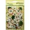 Petaloo - Botanica Collection - Floral Embellishments - Vintage Velvet Dogwoods - Ivory