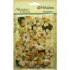 Petaloo - Botanica Collection - Floral Embellishments - Vintage Velvet Dogwoods - Antique Gold