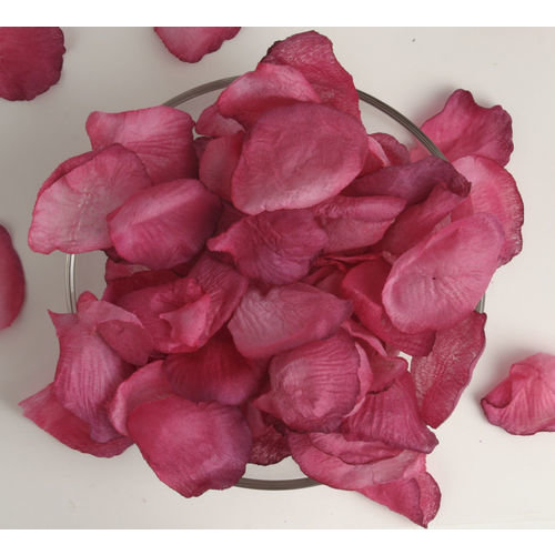Petaloo - Botanica Collection - Floral Embellishments - Rose Petals - Fuchsia