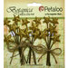 Petaloo - Botanica Collection - Floral Embellishments - Glitter Star Picks - Gold