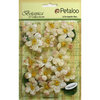 Petaloo - Botanica Collection - Floral Embellishments - Cherry Blossom - Cream