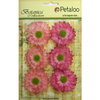 Petaloo - Botanica Collection - Floral Embellishments - Gerber Daisy - Light Pink