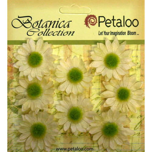Petaloo - Botanica Collection - Floral Embellishments - Mini Gerber Daisy - Ivory