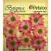 Petaloo - Botanica Collection - Floral Embellishments - Mini Gerber Daisy - Light Pink