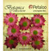 Petaloo - Botanica Collection - Floral Embellishments - Mini Gerber Daisy - Fuchsia