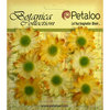 Petaloo - Botanica Collection - Floral Embellishments - Mini Gerber Daisy - Yellow