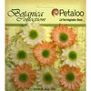 Petaloo - Botanica Collection - Floral Embellishments - Mini Gerber Daisy - Peach