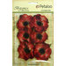 Petaloo - Botanica Collection - Floral Embellishments - Anenome - Red