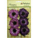 Petaloo - Botanica Collection - Floral Embellishments - Anenome - Purple
