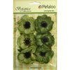 Petaloo - Botanica Collection - Floral Embellishments - Anenome - Pistachio