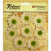 Petaloo - Burlap and Canvas Collection - Floral Embellishments - Mini Daisies - Burlap - Ivory