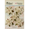 Petaloo - Textured Elements Collection - Christmas - Floral Embellishments - Burlap Poinsettias - Ivory