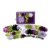 Petaloo - Flora Doodles - Daisy Box Blend - Large - Lavender Purple Green and Black
