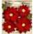 Petaloo - Textured Elements Collection - Floral Embellishments - Poinsettias - Red