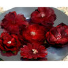 Petaloo - Chantilly Collection - Mixed Blooms Flowers - Red Burgundy