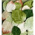 Petaloo - Chantilly Collection - Velvet Leaves