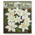 Petaloo - Chantilly Collection - Velvet Floral Embellishments - Poinsettias - White