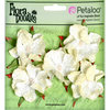Petaloo - Flora Doodles Collection - Velvet Wild Roses - Small - Cream
